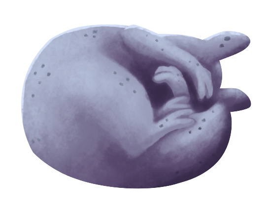 Illustration of the slugcat Guardian sleeping.